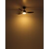 Oświetlenie Globo Modesto lampa z wentylatorem LED Szary, 1-punktowy, Zdalne sterowanie