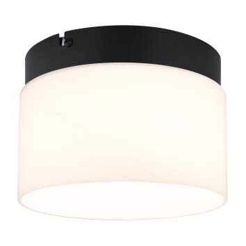Oświetlenie Globo Trenton Lampa sufitowa LED Czarny, 1-punktowy