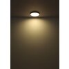 Oświetlenie Globo Nielsen Lampa sufitowa LED Czarny, 1-punktowy