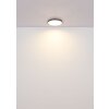Oświetlenie Globo Nielsen Lampa sufitowa LED Czarny, 1-punktowy