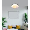 Oświetlenie Globo Gaia Lampa sufitowa LED Biały, 1-punktowy