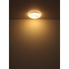 Oświetlenie Globo Gaia Lampa sufitowa LED Biały, 1-punktowy
