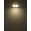 Oświetlenie Globo Cavendish Lampa sufitowa LED Biały, 1-punktowy