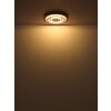 Oświetlenie Globo Jayden Lampa sufitowa LED Antracytowy, 1-punktowy