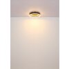 Oświetlenie Globo Hedi Lampa sufitowa LED Złoty, Czarny, 1-punktowy