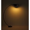 Oświetlenie Globo Robles Lampa stojąca LED Czarny, 1-punktowy