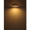 Oświetlenie Globo Woody Lampa sufitowa LED Ecru, Czarny, 1-punktowy