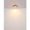 Oświetlenie Globo Hayden Lampa sufitowa LED Ecru, Czarny, 1-punktowy