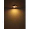 Oświetlenie Globo Hayden Lampa sufitowa LED Ecru, Czarny, 1-punktowy, Zdalne sterowanie