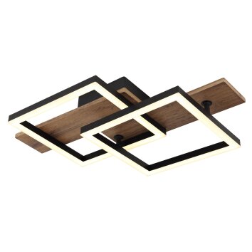 Oświetlenie Globo Jeffry lampa sufitowa LED kolory naturalne, czarny, 1-punktowy