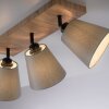 JUST LIGHT GERDA MICHEL lampa sufitowa, spot sufitowy kolory naturalne, czarny, 3-punktowe