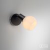 Oświetlenie Leuchten Direkt LOKI Oświetlenie ścienne i sufitowe LED Czarny, 1-punktowy