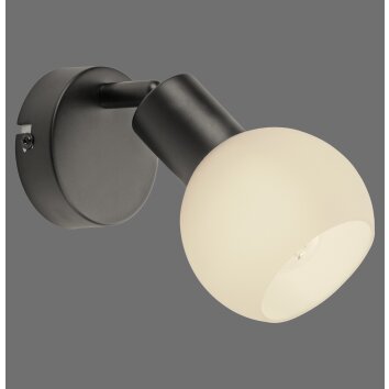 Oświetlenie Leuchten Direkt LOKI lampa ścienno-sufitowa LED czarny, 1-punktowy