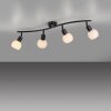Oświetlenie Leuchten Direkt LOKI Lampa sufitowa LED Czarny, 4-punktowe