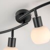 Oświetlenie Leuchten Direkt LOKI Lampa sufitowa LED Czarny, 4-punktowe