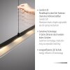 Oświetlenie Leuchten Direkt NELE Lampa wisząca LED Czarny, 1-punktowy