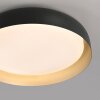 Oświetlenie Leuchten Direkt OSKO Lampa sufitowa LED Czarny, 1-punktowy, Zdalne sterowanie
