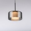 Oświetlenie Paul Neuhaus Rika Lampa wisząca LED Czarny, 1-punktowy