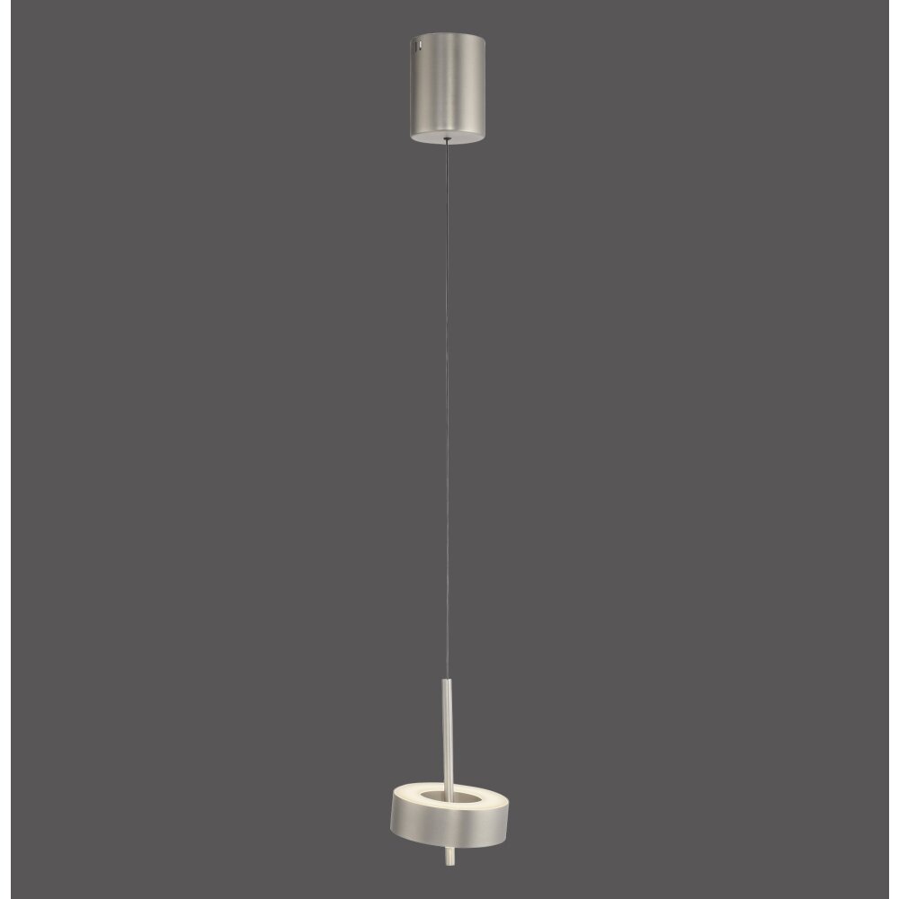 Oświetlenie Paul Neuhaus Q-Rotate Lampa wisząca LED Srebrny, 1-punktowy, Zdalne sterowanie main product photo
