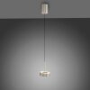 Oświetlenie Paul Neuhaus Q-Rotate Lampa wisząca LED Srebrny, 1-punktowy, Zdalne sterowanie