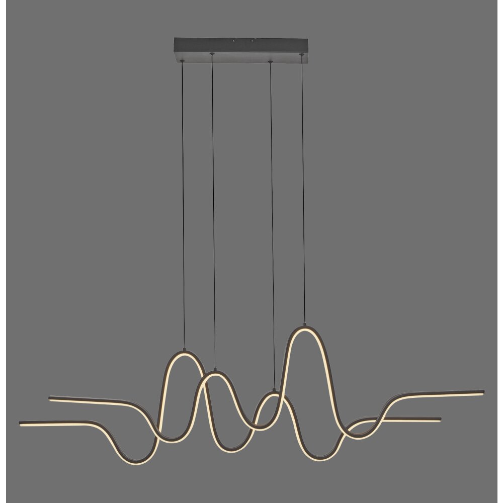 Oświetlenie Paul Neuhaus Altitude Lampa wisząca LED Czarny, 1-punktowy main product photo