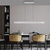 Oświetlenie Paul Neuhaus Round Lampa wisząca LED Aluminium, 2-punktowe