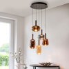 Oświetlenie Paul Neuhaus Irides Lampa wisząca LED Brązowy, 5-punktowe
