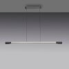 Oświetlenie Paul Neuhaus Hoop Lampa wisząca LED Antracytowy, Srebrny, 1-punktowy