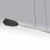 Oświetlenie Paul Neuhaus Hoop Lampa wisząca LED Antracytowy, Srebrny, 1-punktowy