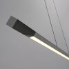Oświetlenie Paul Neuhaus Hoop Lampa wisząca LED Antracytowy, Srebrny, 1-punktowy