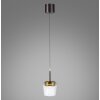 Paul Neuhaus Q-Serie Q-Kon Lampa wisząca LED Brązowy, 1-punktowy, Zdalne sterowanie