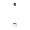 Paul Neuhaus Q-Serie Q-Kon Lampa wisząca LED Brązowy, 1-punktowy, Zdalne sterowanie
