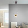 Paul Neuhaus Q-Serie Q-Kon Lampa wisząca LED Brązowy, 1-punktowy, Zdalne sterowanie