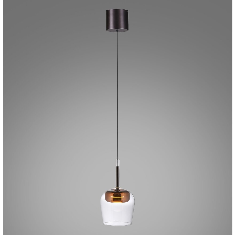 Oświetlenie Paul Neuhaus Q-Kon Lampa wisząca LED Brązowy, 1-punktowy, Zdalne sterowanie main product photo