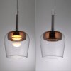 Oświetlenie Paul Neuhaus Q-Kon Lampa wisząca LED Brązowy, 1-punktowy, Zdalne sterowanie