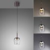 Paul Neuhaus Q-Serie Q-Kon Lampa wisząca LED Brązowy, 1-punktowy, Zdalne sterowanie Paul Neuhaus Q-Serie Q-Kon Lampa wisząca LED Brązowy, 1-punktowy, Zdalne sterowanie
