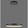Oświetlenie Paul Neuhaus Hoop Lampa wisząca LED Czarny, 1-punktowy