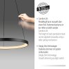 Oświetlenie Paul Neuhaus Hoop Lampa wisząca LED Czarny, 1-punktowy