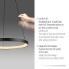 Oświetlenie Paul Neuhaus Hoop Lampa wisząca LED Czarny, 1-punktowy