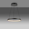 Oświetlenie Paul Neuhaus Hoop Lampa wisząca LED Czarny, 1-punktowy