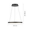 Oświetlenie Paul Neuhaus Hoop Lampa wisząca LED Czarny, 1-punktowy
