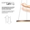 Oświetlenie Paul Neuhaus Hoop Lampa wisząca LED Brązowy, 1-punktowy