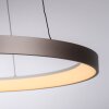 Oświetlenie Paul Neuhaus Hoop Lampa wisząca LED Brązowy, 1-punktowy