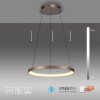 Oświetlenie Paul Neuhaus Hoop Lampa wisząca LED Brązowy, 1-punktowy