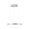 Oświetlenie Paul Neuhaus Hoop Lampa wisząca LED Srebrny, 1-punktowy