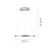 Oświetlenie Paul Neuhaus Hoop Lampa wisząca LED Srebrny, 1-punktowy
