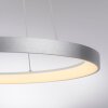Oświetlenie Paul Neuhaus Hoop Lampa wisząca LED Srebrny, 1-punktowy