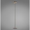 Paul Neuhaus Q-Serie Q-Rotate Lampa stojąca LED Brązowy, 1-punktowy, Zdalne sterowanie