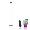 Paul Neuhaus Q-Serie Q-Rotate Lampa stojąca LED Brązowy, 1-punktowy, Zdalne sterowanie