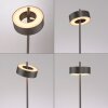 Paul Neuhaus Q-Serie Q-Rotate Lampa stojąca LED Brązowy, 1-punktowy, Zdalne sterowanie